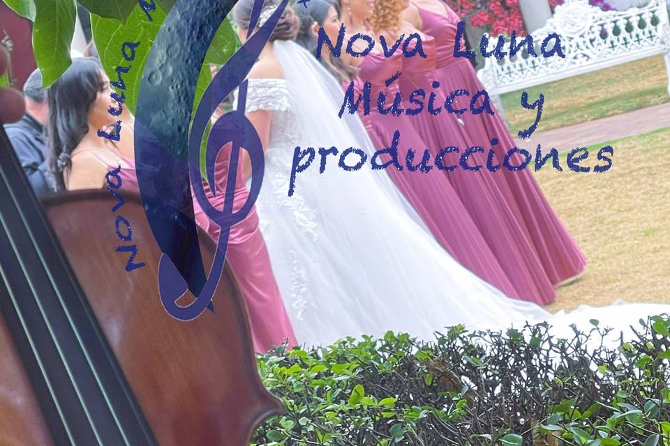 Creando momentos inolvidables