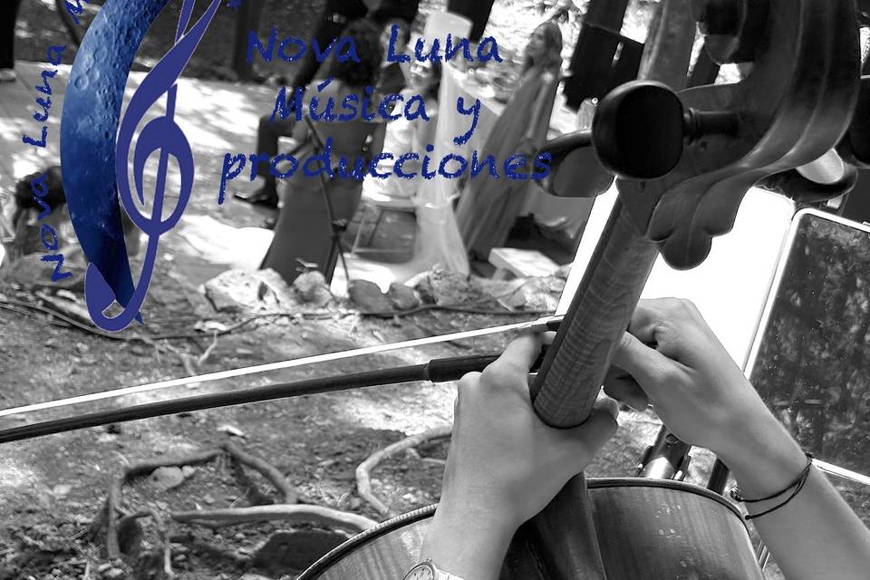 Creando momentos inolvidables