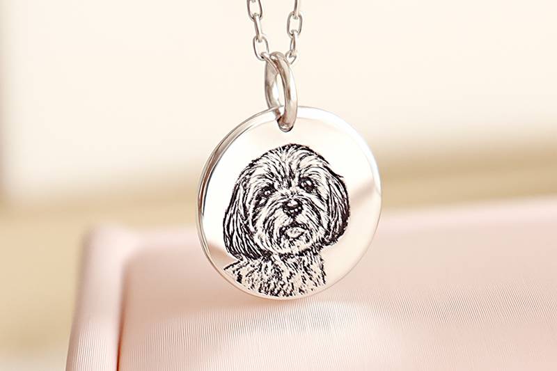 Collares de cachorro