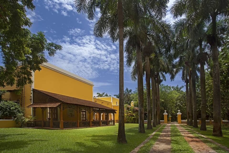 Jardín Palmeras