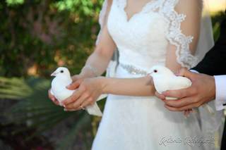 Weddings Doves Hermosillo