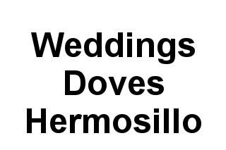 Weddings Doves Hermosillo