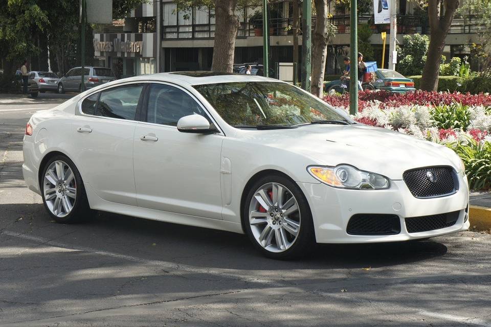 Jaguar