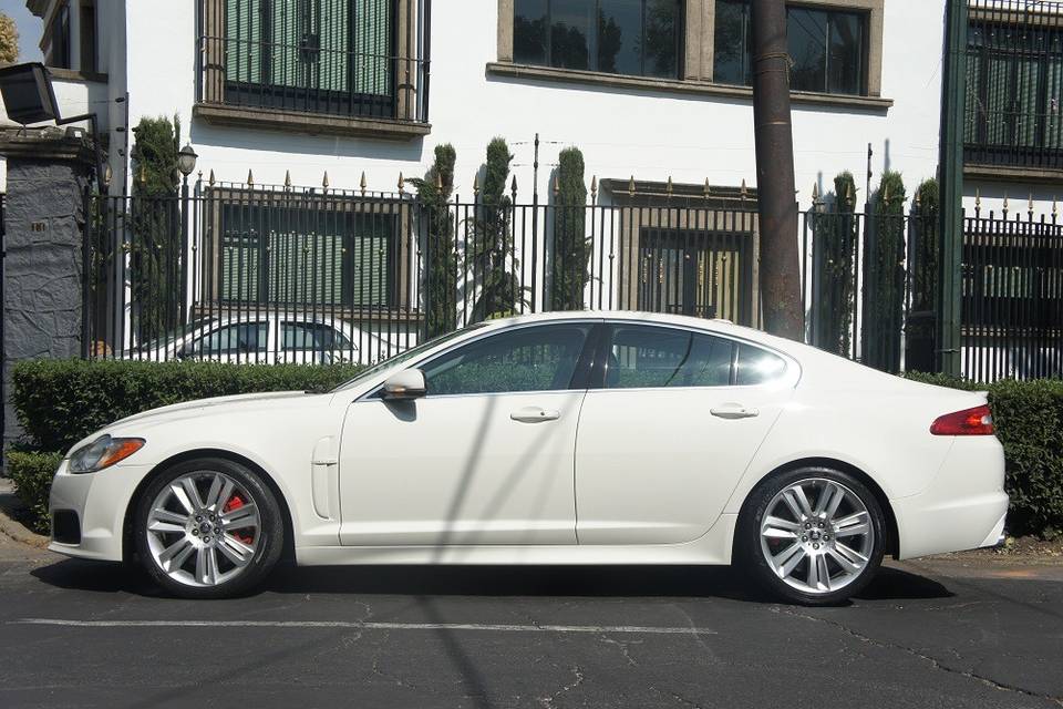 Jaguar