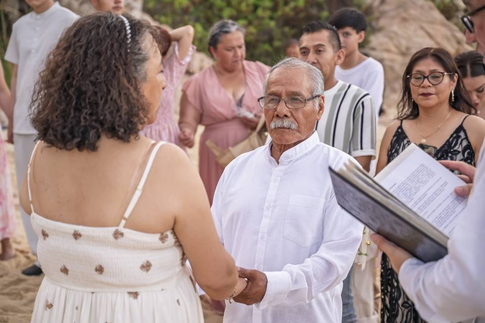 Novios