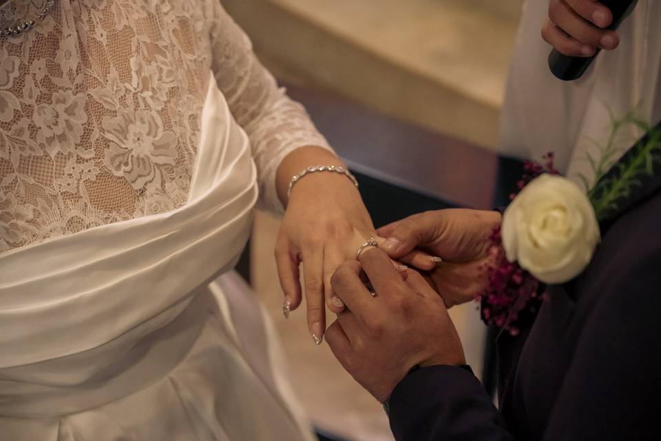 Anillos