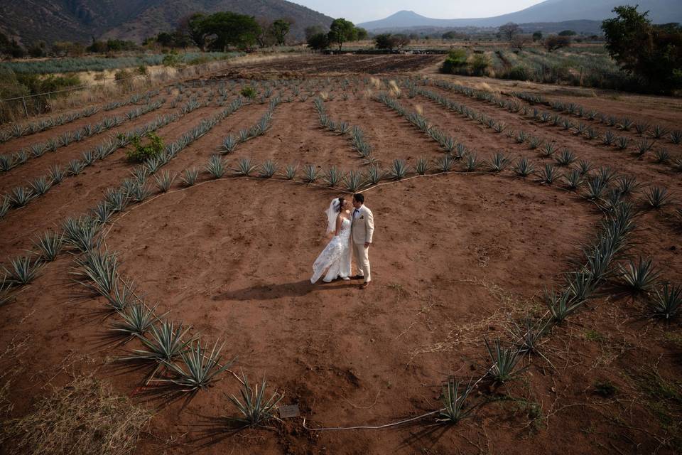 Novios