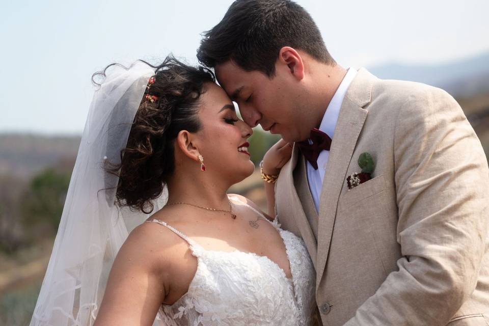 Novios