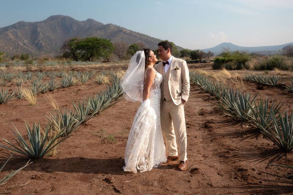 Novios