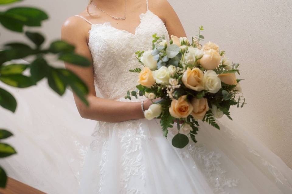 Novia