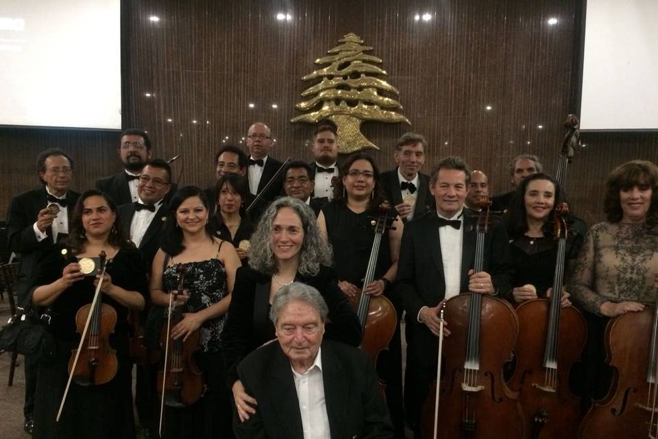 Orquesta de Cámara de la Ciudad de México