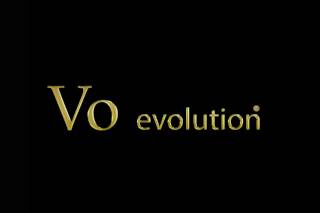 VO evolution logo