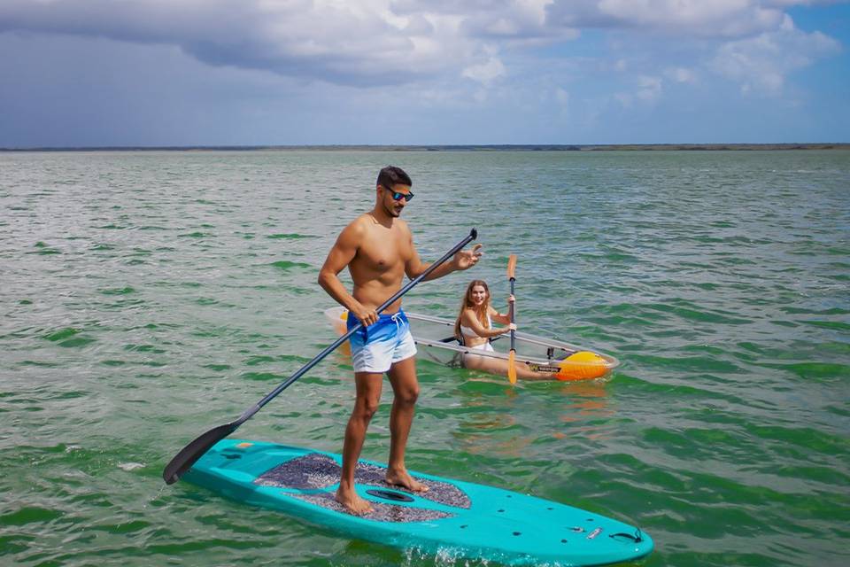 Paddle board