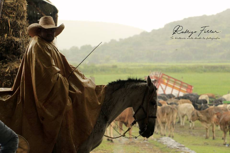 Rodrigo Ferrer Cerón Fotógrafo