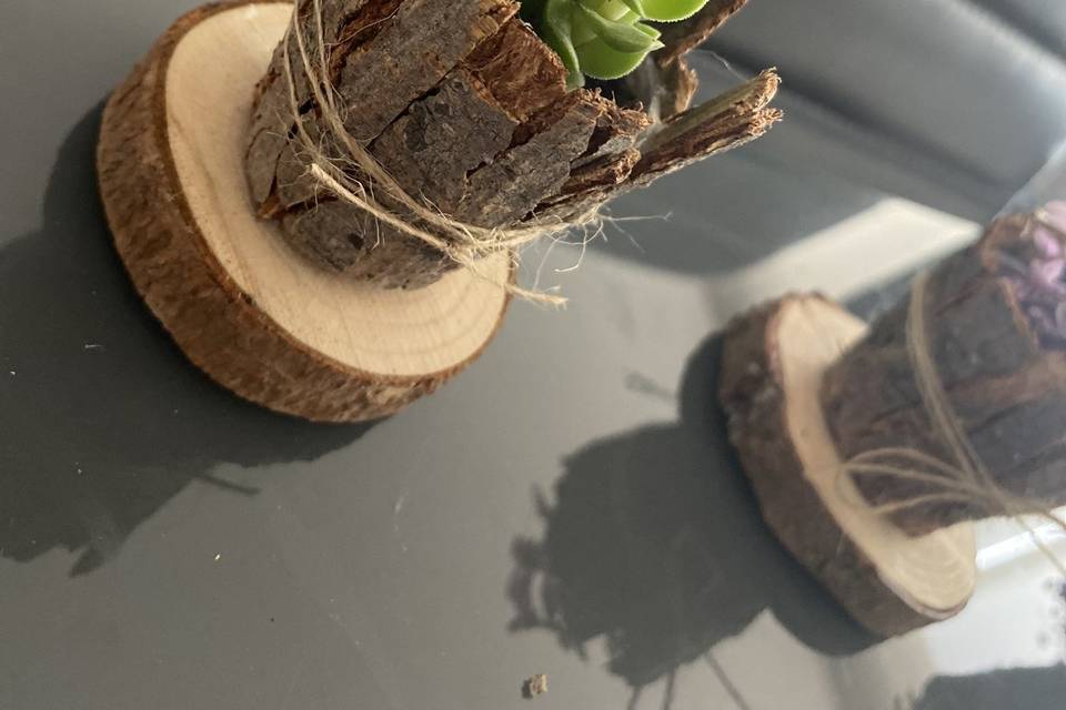 Decoración suculenta