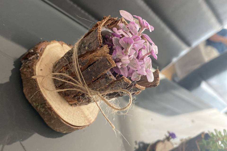 Decoración suculenta