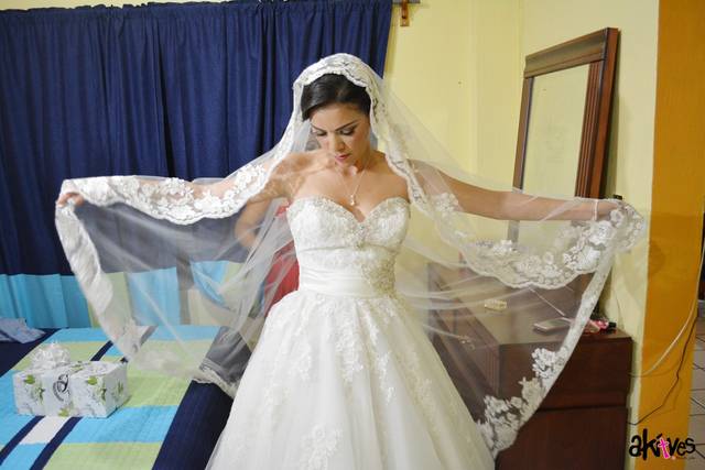 Akitves Professional