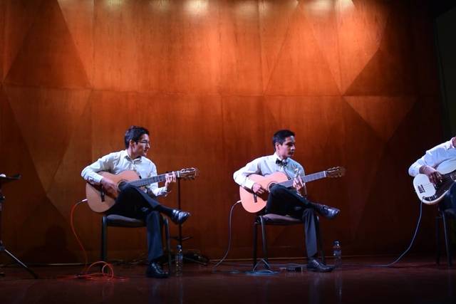 Ensamble Madera Viva