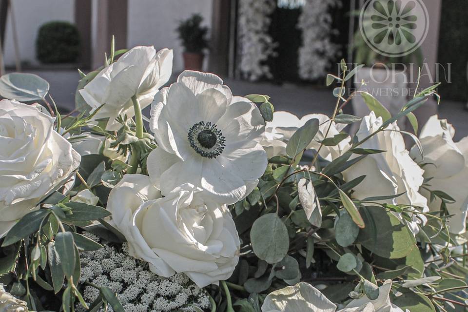 Flores premium