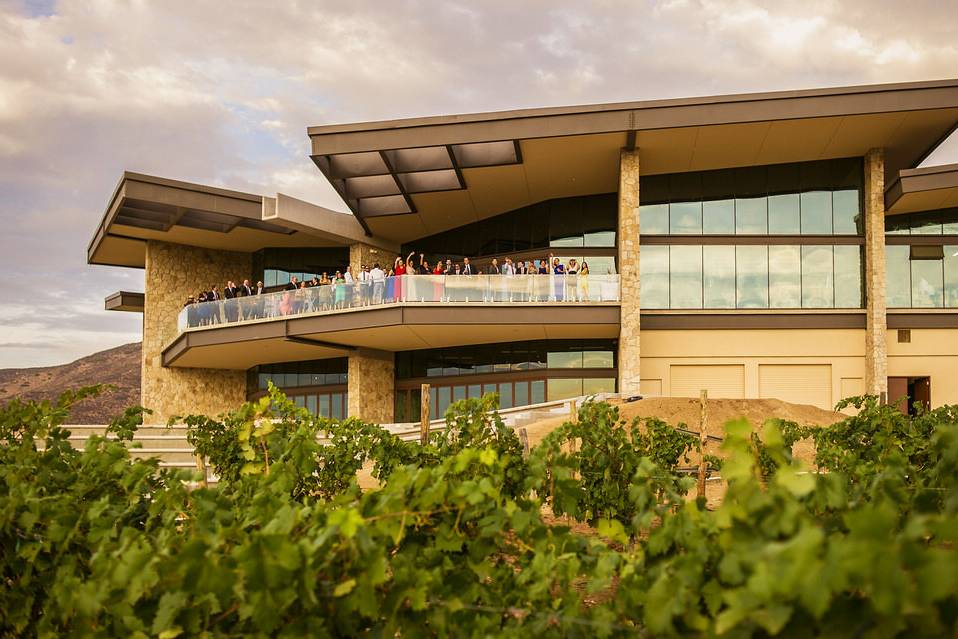 Museo del vino