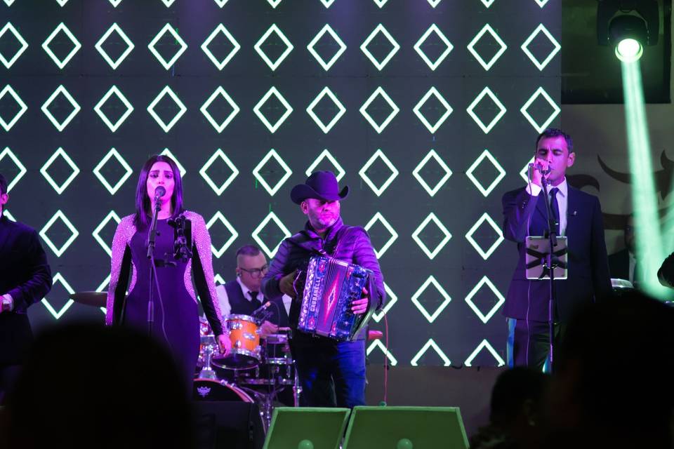 Bilbao Live Music