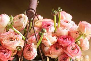 Party Catering Services