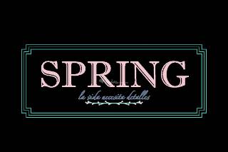 Spring logo-