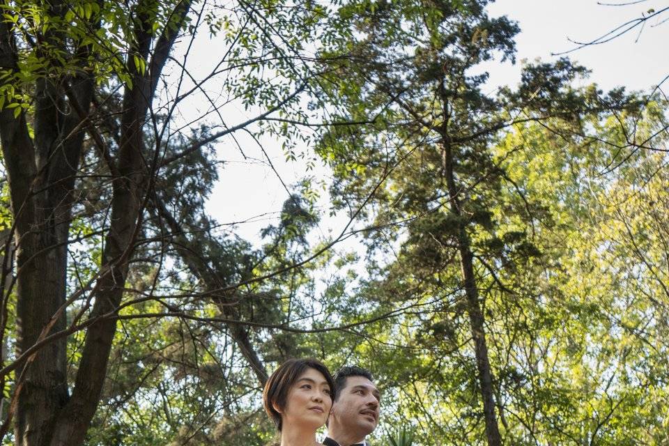 Parque Masayoshi Ohira