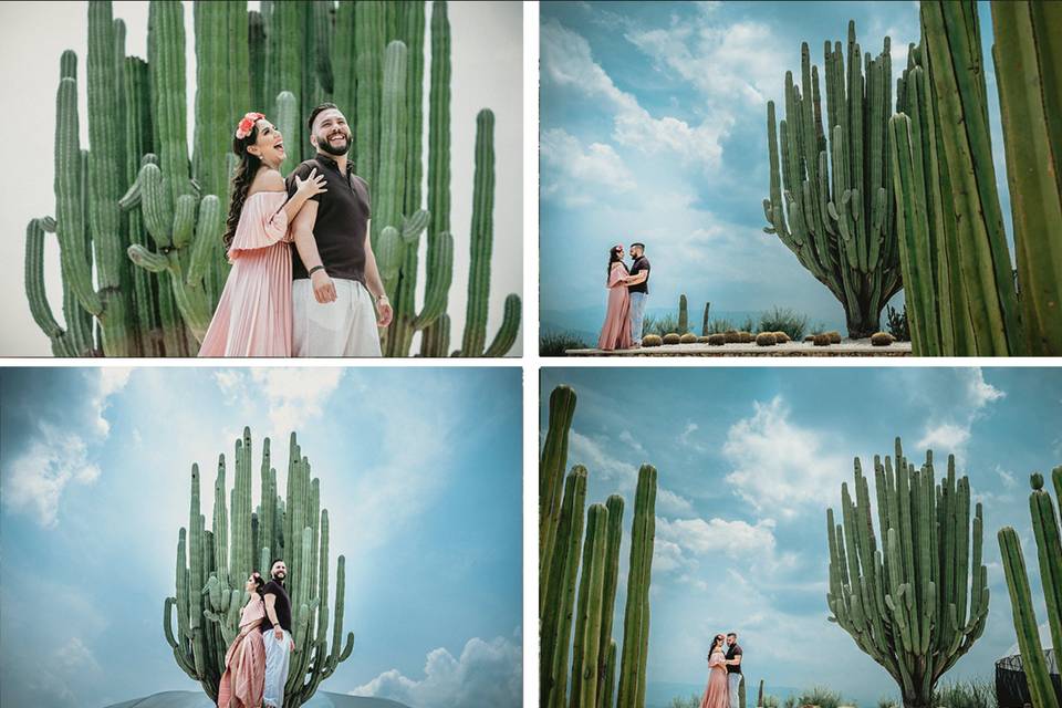 Jardines de México