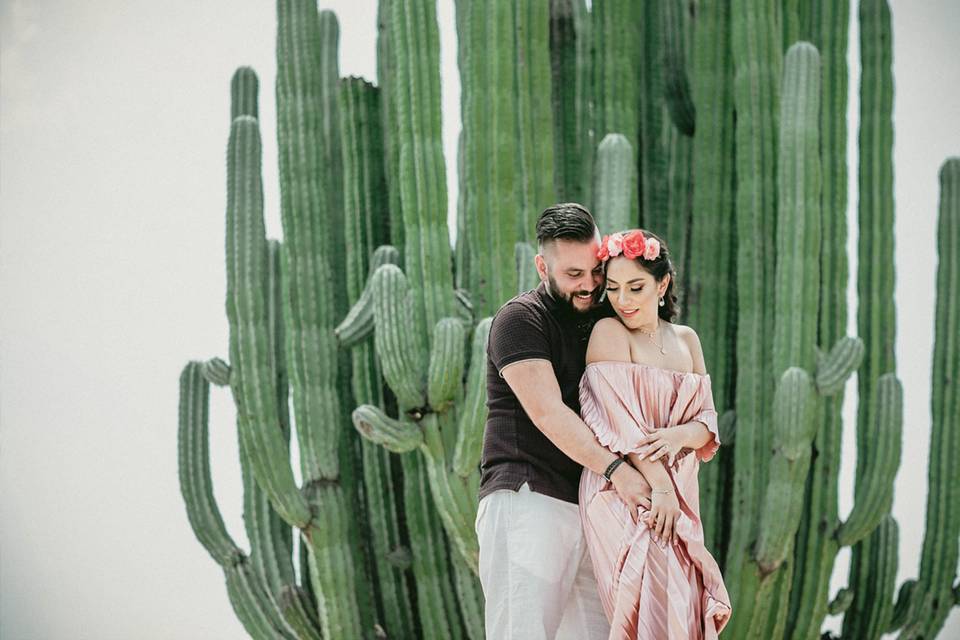Jardines de México