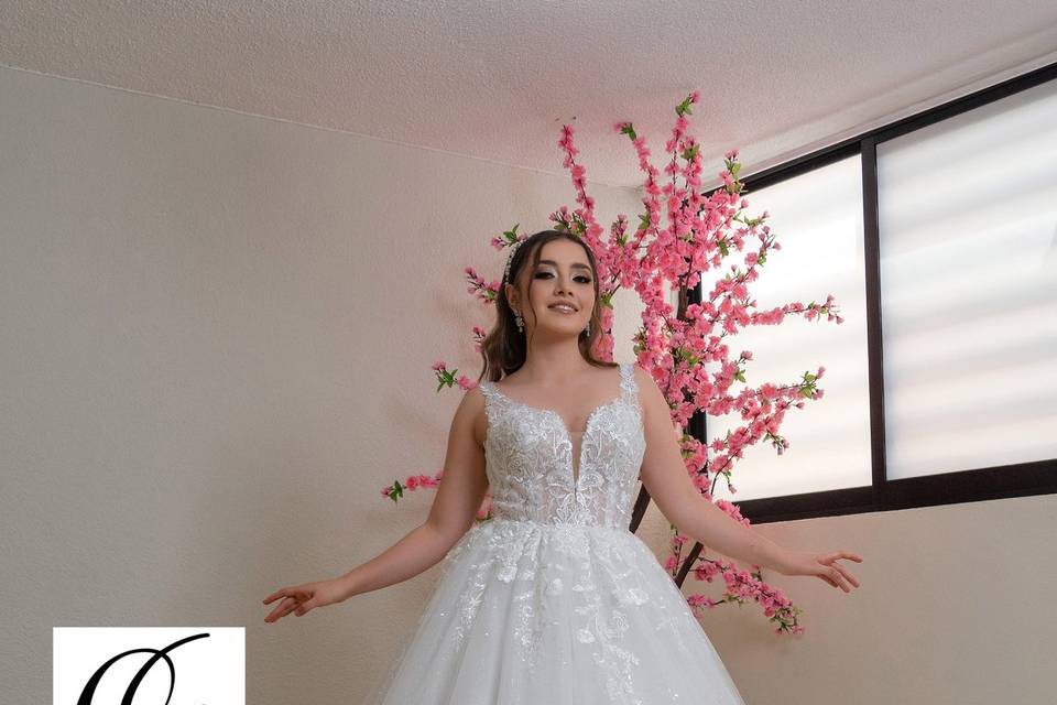 Vestido de novia princesa