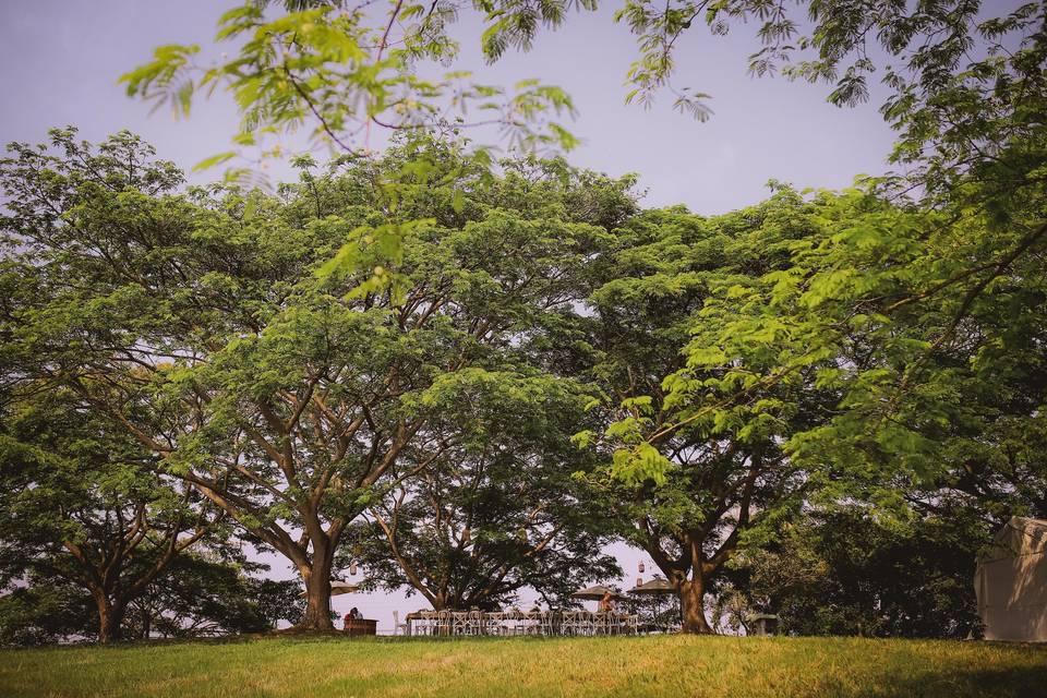 Jardín de los Samanes