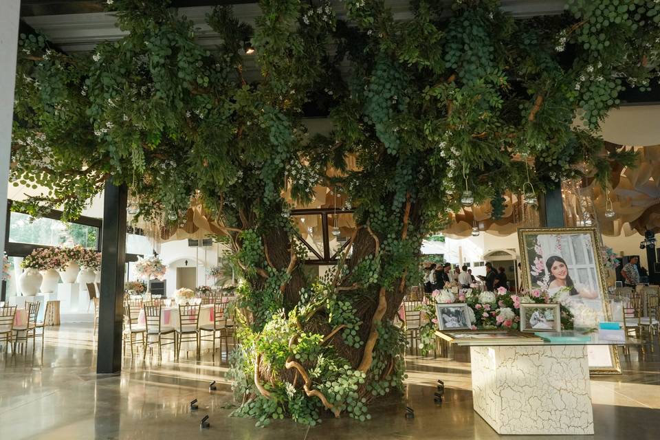 Hacienda