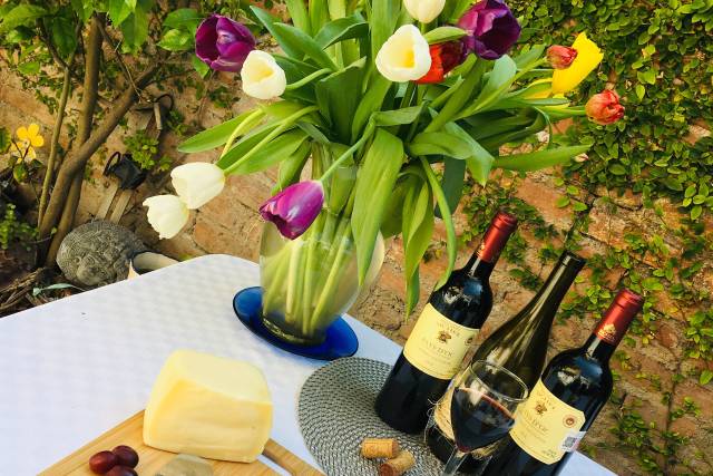 Queso Gouda Holandés