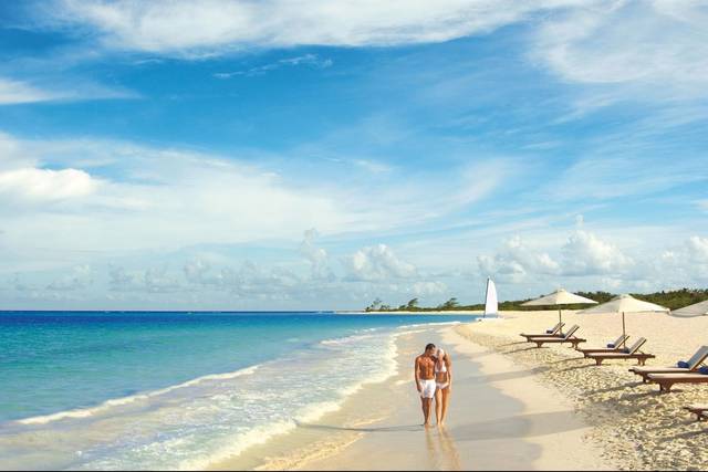 Disfruten su luna de miel