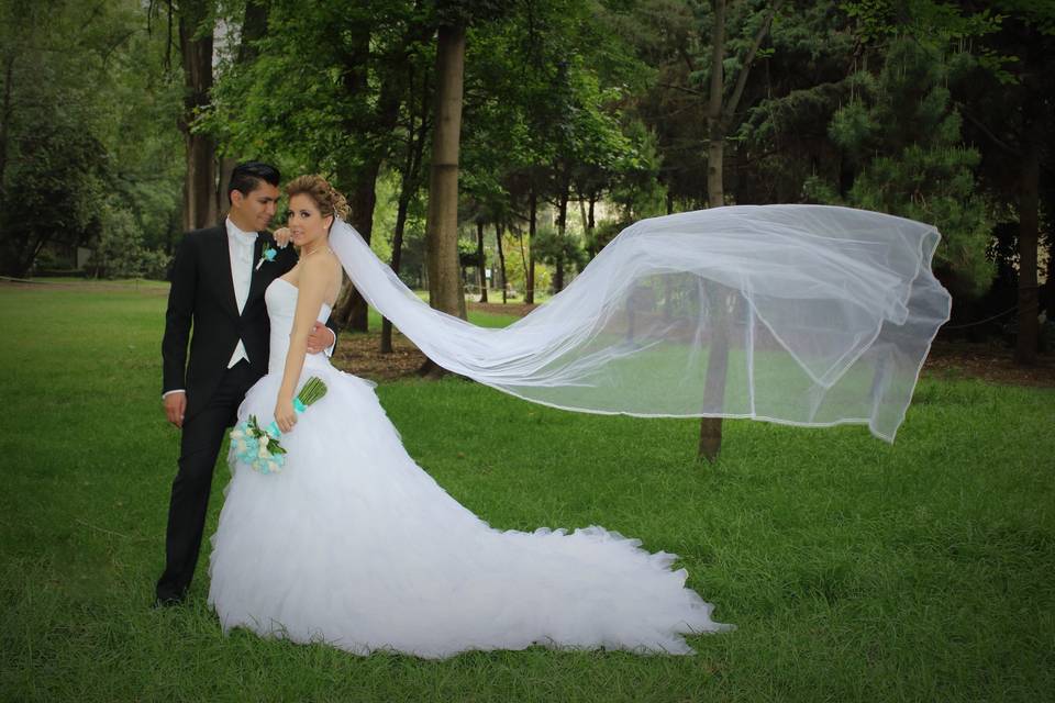 Viento de amor