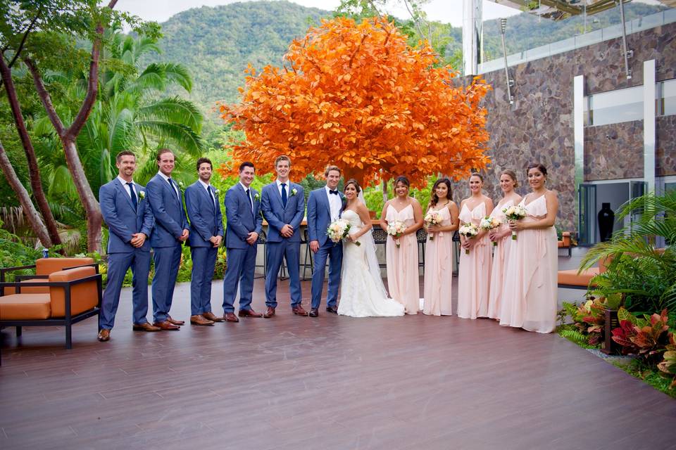 Bride, groom party portraits