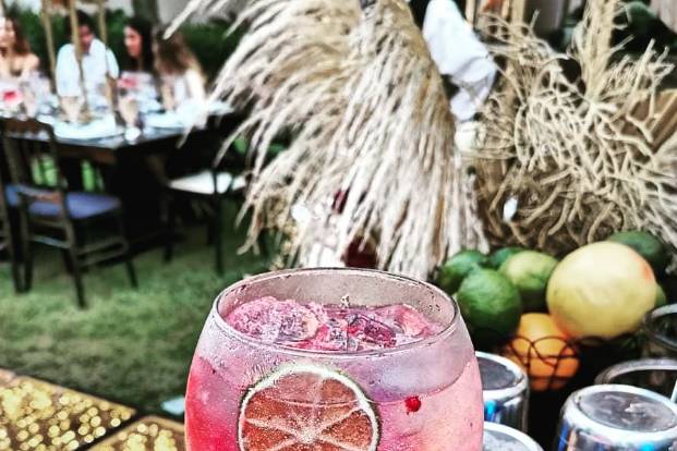 Gin & Tonic frutos rojos