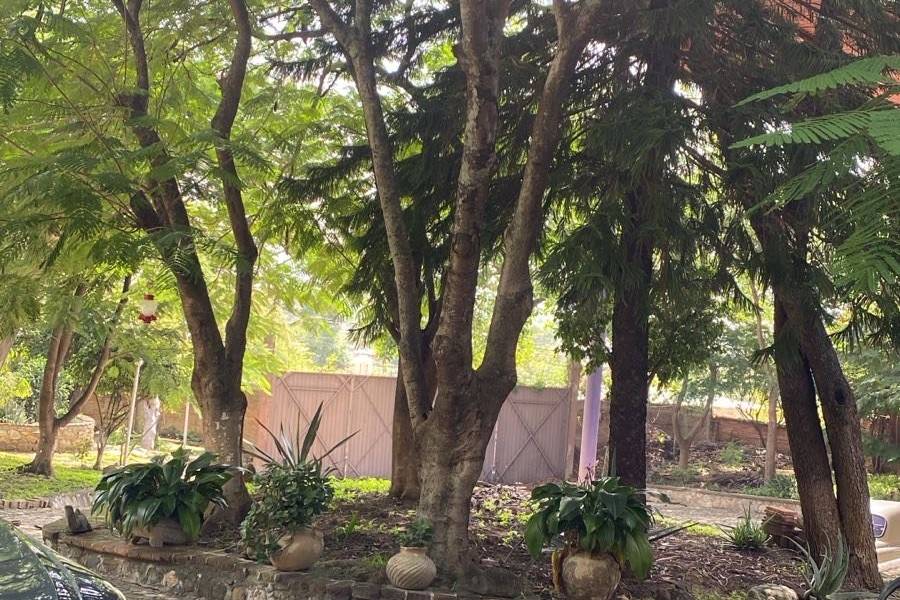 Jardines