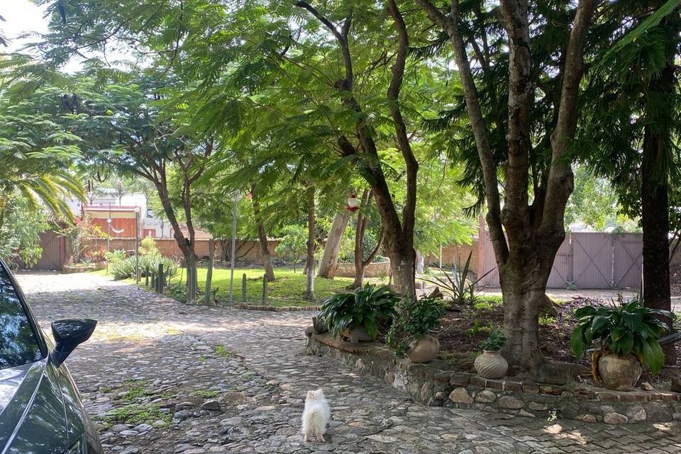 Jardines