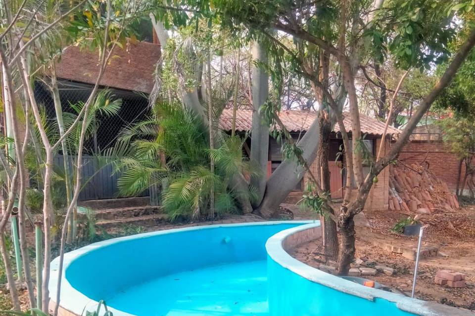 Jardines alberca