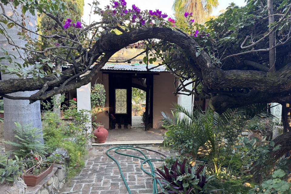 Jardines