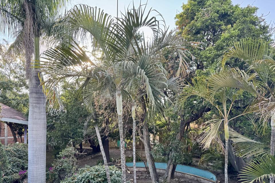 Jardines