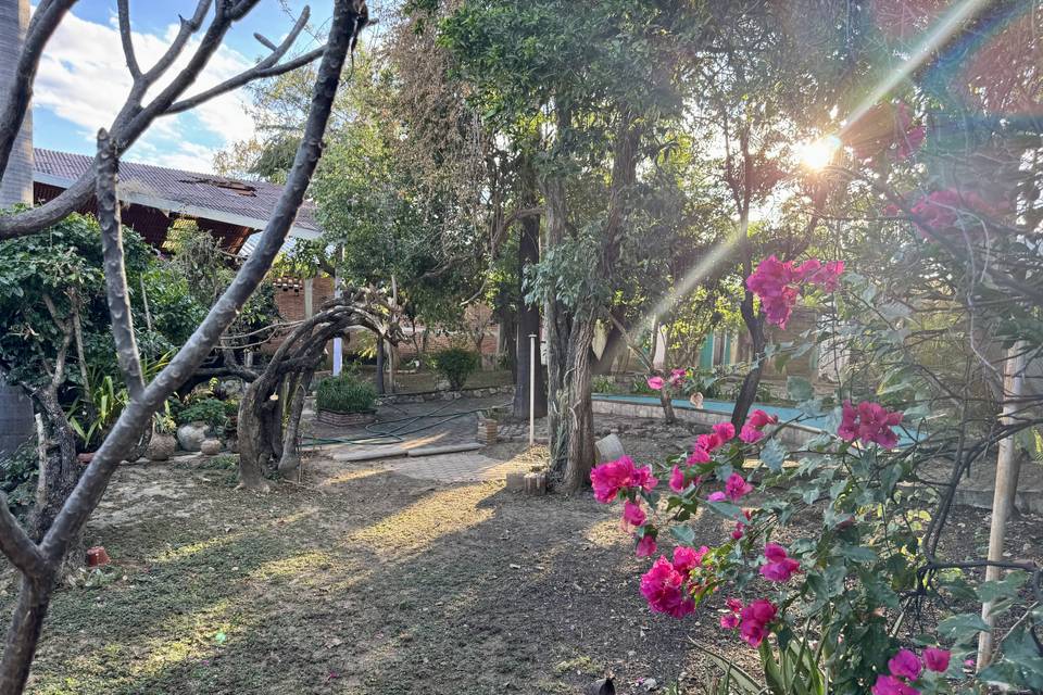 Jardines