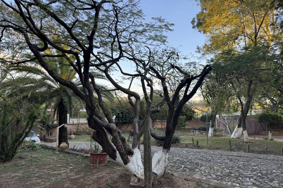 Jardines
