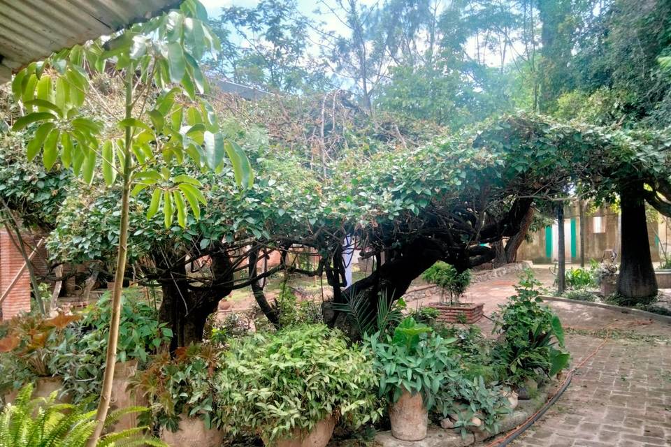 Jardines