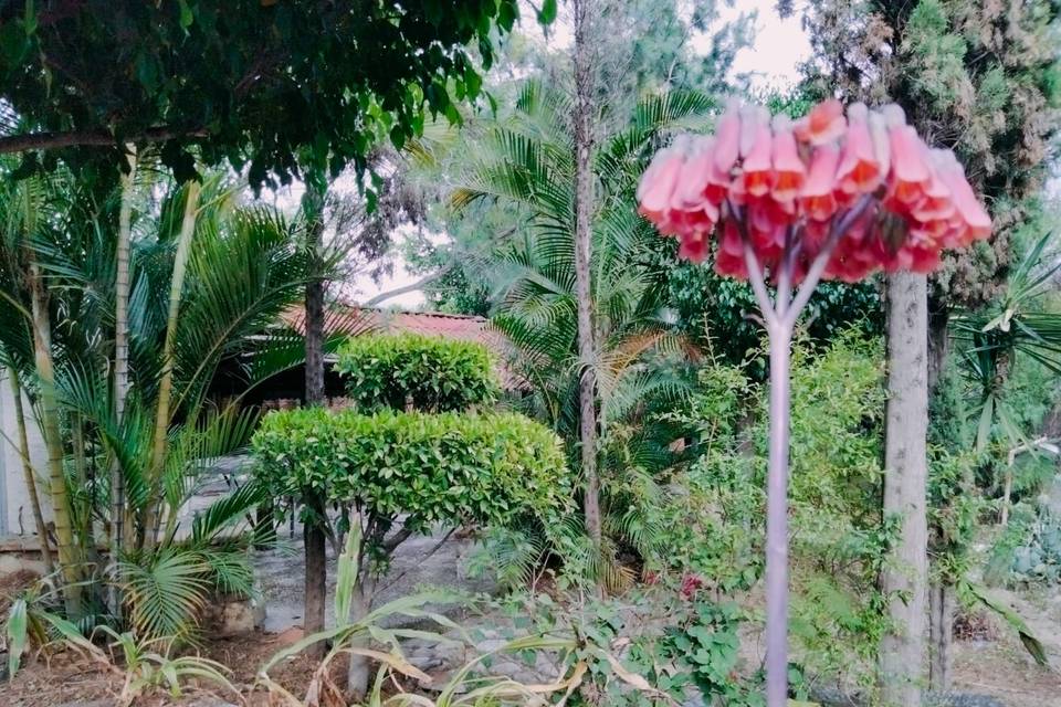 Jardines