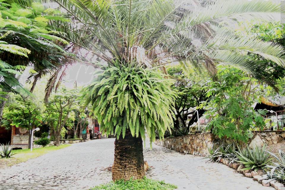 Jardines