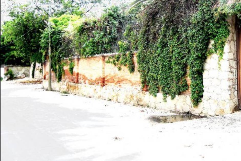 Jardines