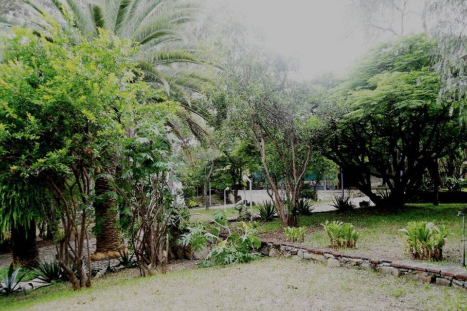 Jardines